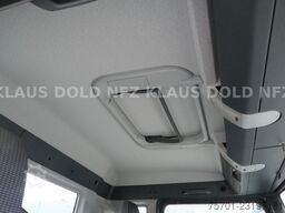 MAN TGS 35.480 Abrollkipper Hiab Retarder Euro 5