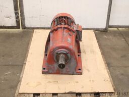 Bauer D447/166