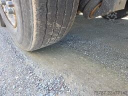 WIELTON 50 cbm Getreidemulde, Pendelklappe,Kornschieber