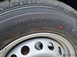 Fiat Ducato 35 Maxi 3 Seiten Kipper AHK KAMERA 2x