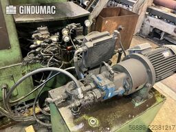 Friggi 2MF/AUT 800 x 800 2C