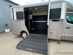 RENAULT Master STX 5 Sitzer  Haras / Hengste