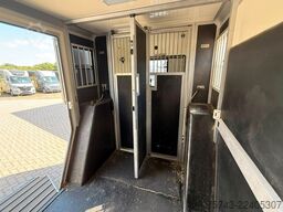 RENAULT Master STX 5 Sitzer  Haras / Hengste