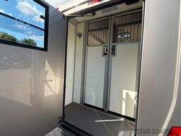RENAULT Master STX 5 Sitzer  Haras / Hengste