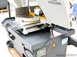 PEGAS 300 x 320 SHI-LR