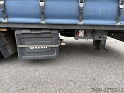 WECON LPRS 24, 06VLS, SAF-ACHSEN, SCHWANENHALS MIT AUFFAHRRAMPEN