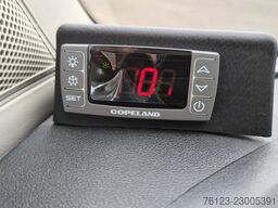 IVECO Daily C 65 Lagerfahrzeug Sprinter519 Sonderpreis