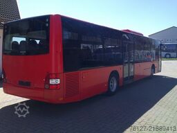 MAN A 20, A21,Lions City, Top-Zustand, .: 1839