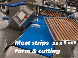 HydroShpriz HySpriz SAS200 Automatic Forming & Cutti