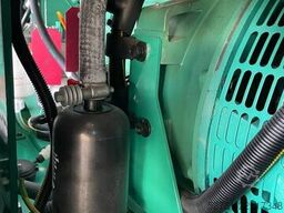 Cummins C38D5 - 38 kVA Surplus Genset - DPX-18504