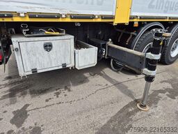 Scania P