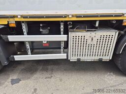 Scania P