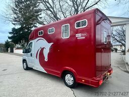 Peugeot Boxer Equi-Trek 1-2 Pferde