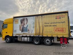 DAF XF 480 SSC/Kompressor/Intader/Dinkel/Getreide