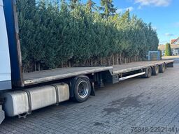 KOTSCHENREUTHER STL324-Bereifung 215/75R17,5-Lenkachse-BPW