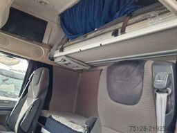 DAF 530, Retarder, Bullfänger, Limited Edition
