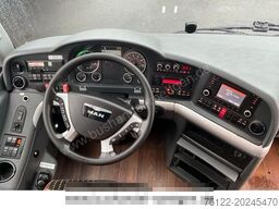 MAN R09 Lion?s Coach/516/Travego/Tourismo/Neulack