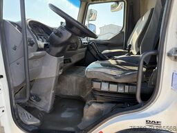 DAF LF45.220 Kipper mit Kran Bonfiglioli