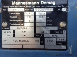 DEMAG / STAHL / LIFTKET 2 ton/1 ton / 500 / 250 / 160 / 125 kg.