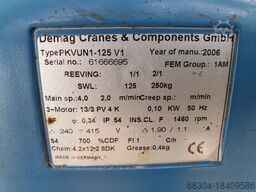 DEMAG / STAHL / LIFTKET 2 ton/1 ton / 500 / 250 / 160 / 125 kg.