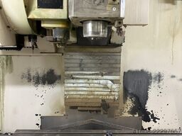 MÜGA V 43