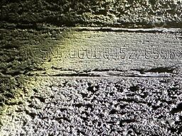 Schmitz Cargobull Tiefkühler Fleischhang