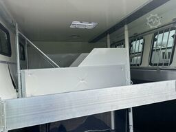  Steinsberger 3-Pferde mit Bett Modell derfaller