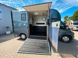 FIAT Ducato Böckmann 2 Pferdetransporter