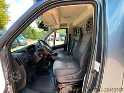 FIAT Ducato Böckmann 2 Pferdetransporter