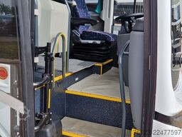 TEMSA 8 units Prestij SX,Novo Lux, Daily, Atego