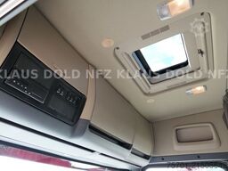 SCANIA R 490 Pritsche Kran Palfinger Retarder Euro 6