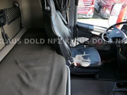 SCANIA R 490 Pritsche Kran Palfinger Retarder Euro 6