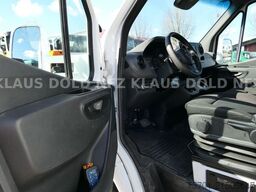 MERCEDES-BENZ Sprinter III 419 CDI Autotransporter Moetefindt
