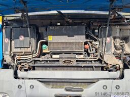 Wild Wood OU Wild Wood OU Wild Wood OU