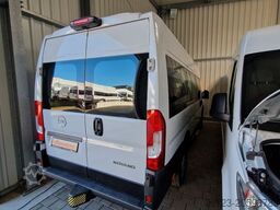 2 x Opel Movano, 3 x Fiat Ducato 18 Sitzer Jumpe