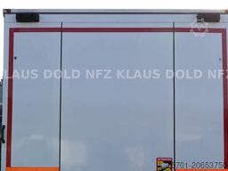 Spectra MST 80 geschlossener Autotransporter