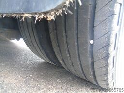 Van Hool 2X + ROLLER HYDRA