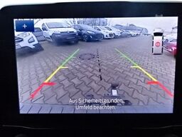 FORD Transit Custom Kasten 300 L1H1 Trail LKW AHK