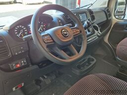 FIAT 1x Ducato 1x  Opel Movano 18 SS  in Stock