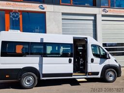 FIAT 1x Ducato 1x  Opel Movano 18 SS  in Stock