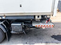 RENAULT D14 250 + DHOLLANDIA