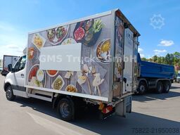 MERCEDES-BENZ Sprinter 516 /Frigo Cool Thermo King /load2,4ton