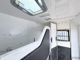  STX 3,5T  2 Pferd   Pferdeanh. Wohn. Dusche, WC