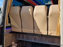 MERCEDES-BENZ 519 und 517 Glasdach XXL 20 Sitze Stock