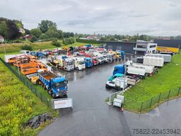 MERCEDES-BENZ Actros 2036 / 4x4 Allrad / kommunal Winterdienst