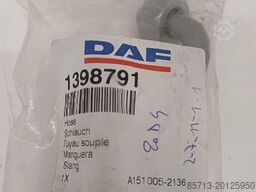 Daf Remslang daf