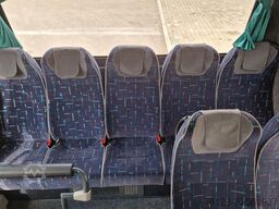 TEMSA 5 units Prestij SX,Novo Lux, Daily, Atego
