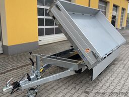 Saris K3 306 170 2700 + Alu-Schienen + E-Pumpe