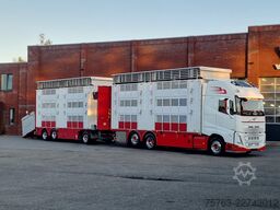 Volvo FH 13.500 XL 6x2 - Pezzaioli livestock 3 deck +...