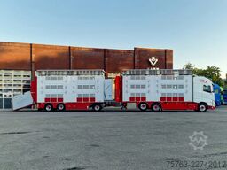 Volvo FH 13.500 XL 6x2 - Pezzaioli livestock 3 deck +...